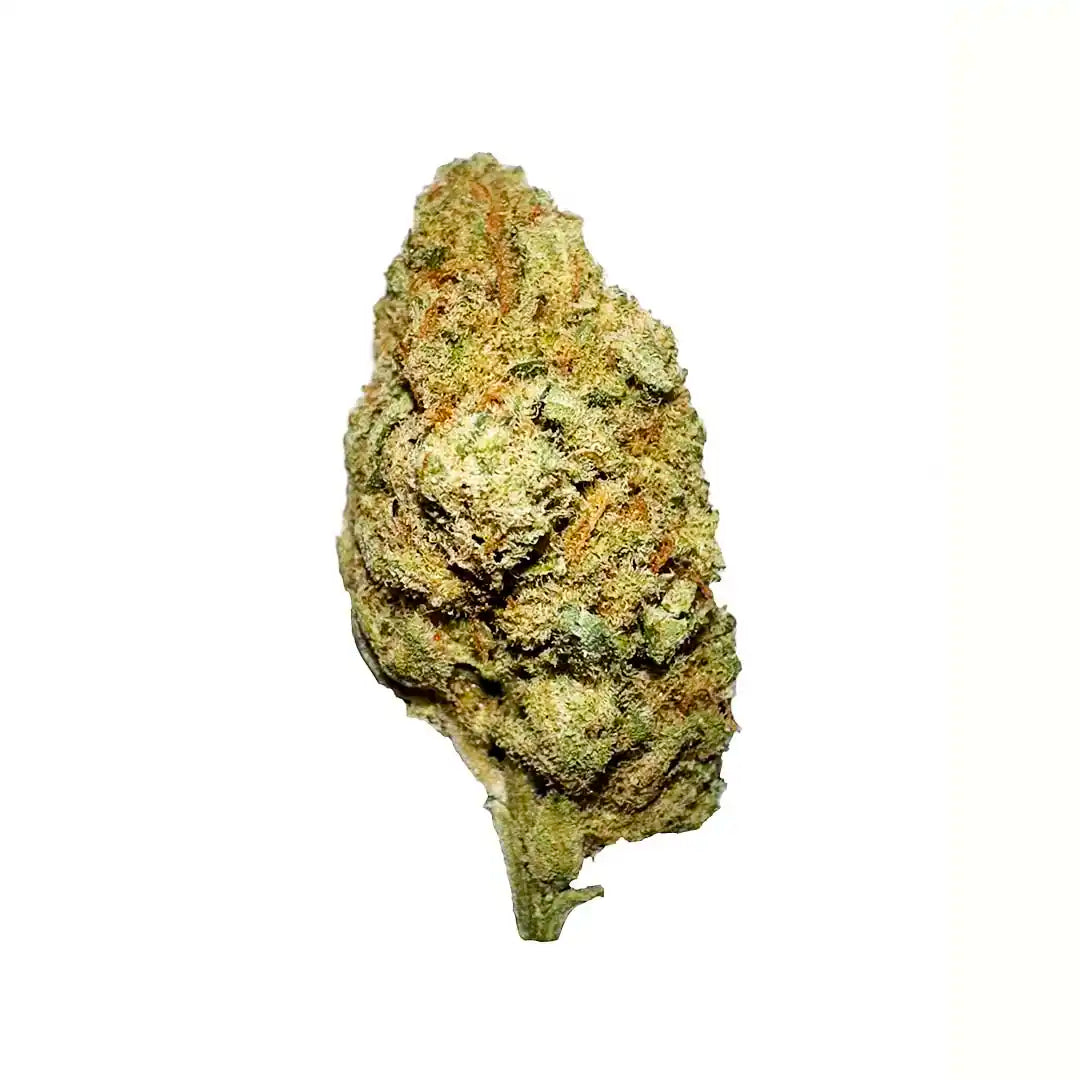 Cogollos pequeños La Cordobesa · Amnesia Hydro